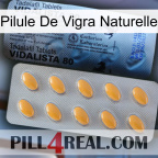 Natural Vigra Pill 44